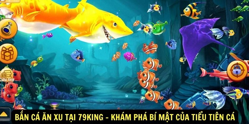Bắn cá ăn xu tại 79King - Khám phá bí mật của tiểu tiên cá 5 Bắn cá ăn xu tại 79King - Khám phá bí mật của tiểu tiên cá