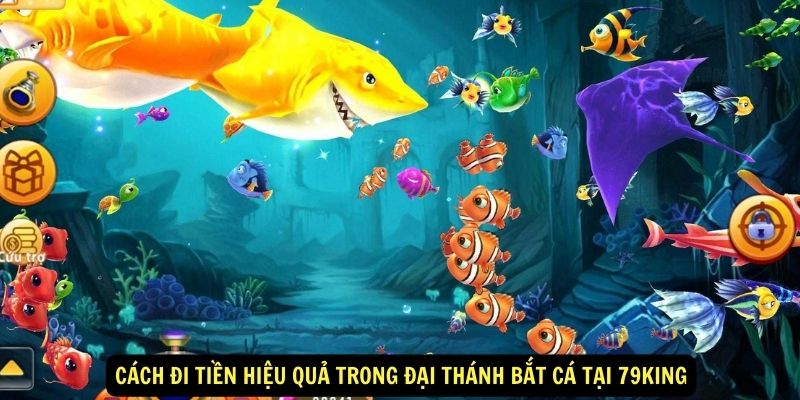 Cách Đi Tiền Hiệu Quả Trong Đại Thánh Bắt Cá tại 79king 5 Cách Đi Tiền Hiệu Quả Trong Đại Thánh Bắt Cá tại 79king