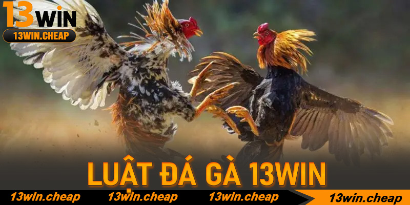 Các biến thể của Luật đá gà phổ biến nhất hiện nay