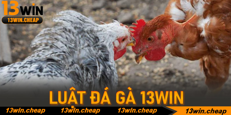 Bí kíp "nằm lòng" luật chơi để tối ưu hóa lợi nhuận tại 13winBí kíp "nằm lòng" luật chơi để tối ưu hóa lợi nhuận tại 13win